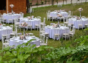 Nefes Orman-MAZI 2